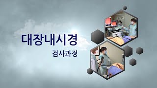 대장내시경 검사과정