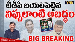 BIG BREAKING : టీడీపీ బయటపెట్టిన నిప్పులాంటి అబద్ధం | TDP'S Big Lie on YS Jagan | Journalist YNR