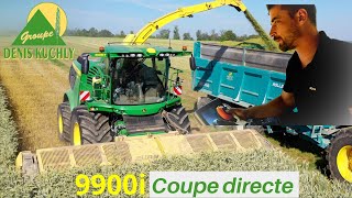 E.T.A DENIS KUCHLY  | Ensilage en coupe direct 9900i  | JDx3 | 24Tx2 | NH |