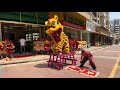 lion dance 开业大吉财源滚滚 中国醒狮 中国舞狮