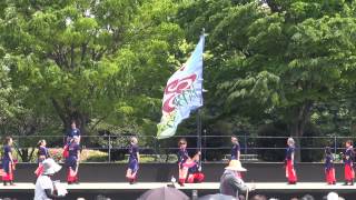 踊り人まぼろし（あっぱれ富士2015）Mt fujiステージ