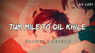 Tu Mile Dil Khile (Slowed + Reverb) | Asees Kaur, Stebin Ben | AV Lofi
