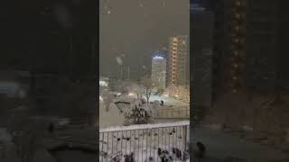 R4年1月6日関東大雪