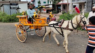 #9326610981 mujeeb bh nayaab ghoda baggi wale | unique collection of horses \u0026 carriage manufacturing