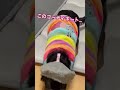 まちがいコーディネート☆ カニンヘンダックスフンド 可愛い 愛犬 癒し いぬ shorts shortsvideo dog doglover