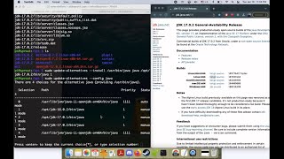 How to install & update Java on Raspberry Pi