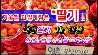 겨울철 과일대장은 딸기!!  대왕딸기가 1k 가 만원