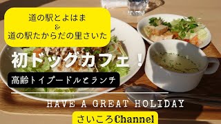 「道の駅とよはま」でトイプードルと散歩して、念願のカフェデビュー、「道の駅たからだの里さいた」で散歩と休憩