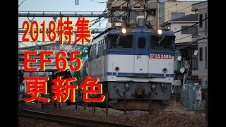 2018 EF65更新色特集 Feature segments  EF65 Japanese electric locomotive of new color