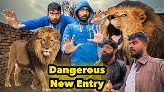 Dangerous New Entry 🤓 | Qasim Daar kar bhaag gaya😅| Punjabi Shok Vlogs