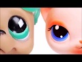 Littlest Pet Shop: Secrets TEASER