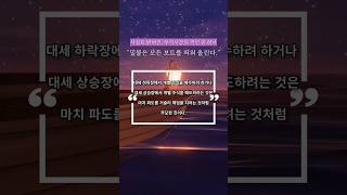 프로는 어떻게 매매하는가