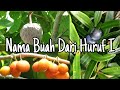 Nama Buah Dari Huruf I