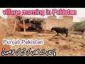 Village morning in Pakistan beautiful video | Pakistan beautiful village #viralvideo #village