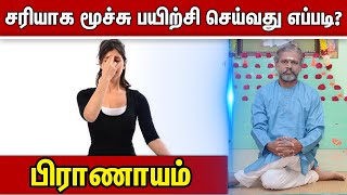 பிராணாயம் : சரியாக மூச்சு பயிற்சி செய்வது எப்படி ? Velicham Tv Entertainment