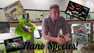 Top 5 MUST have Nano Species to Breed for Profit! (With a BONUS 6th Fish!)