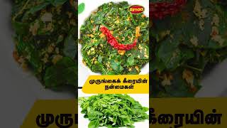 Murungai Keerai Nanmaigal Tamil | முருங்கைக் கீரை நன்மைகள் #homeremedies #almaavelayudham