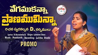 vegamukanna pranam minna singer Lakshmi motivation song 2024  folk song DS Music