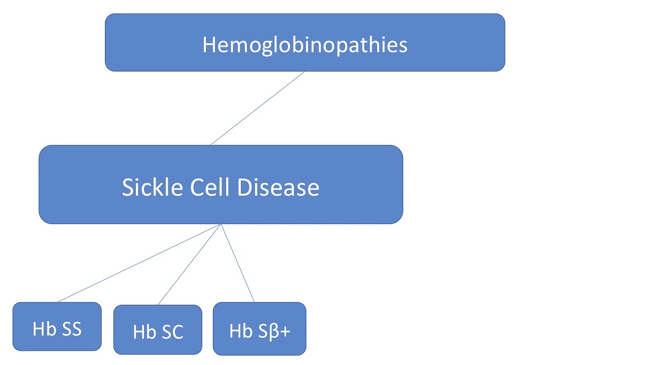 Hemoglobinopathies Part 1: Sickle Cell Disease - YouTube