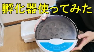 【使い方紹介】 MMSAWA 自動孵化器 インキュベーター　１話目