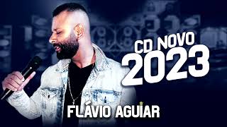 CD COMPLETO 2023 (Ao vivo) - Flávio Aguiar  #arrocha #top10