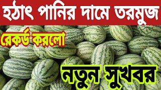 হঠাৎ চরমভাবে কমে গেলো তরমুজের দাম। watermelon Price Today's l তরমুজের পাইকারি বাজার ঢাকা সিকশন ২০২৩?