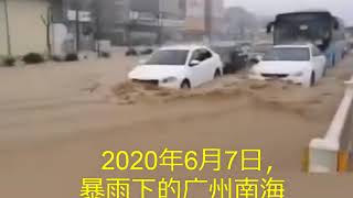 广州南海特大洪水，洪水浸街入屋，居民吊车上屋顶，农民赶猪上楼房