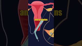 How Exosomes Are Changing IVF Success Rates in 2025?