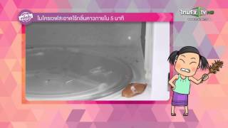 เคล็ดลับ ไมโครเวฟสะอาดไร้กลิ่นคาวภายใน 5 นาที | 13-08-58