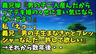 【スカッとひろゆき】義兄嫁『男の子二人産んだからってデキ婚のくせに言い気にならないでよ！』私「えっ‥」義兄『男の子生まなきゃとプレッシャーなんだ‥許して欲しい』→それから数年後・・