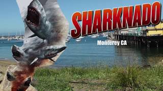 Star Vs Sharknado Videos Books - 