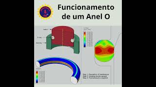 Como Funciona um Anel O | Vedação Industrial | Selo Mecânico