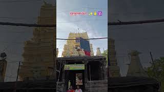 Draksharamam temple 🕉️🙏#temple #templevlogs #devotionalsongs #gadgets #viralshort