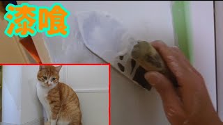 【DIY】猫に破かれた壁紙を漆喰で簡単修理！