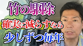 竹の駆除は少しずつやるとだんだん楽になる【庭師が解説】