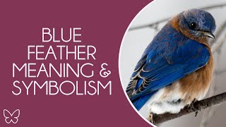 Blue feather meaning \u0026 symbolism