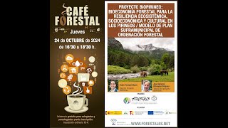 CAFÉ FORESTAL \