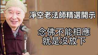 《念佛不能相应，就是没有放下》凈空老法師精選開示（33）此片獻給尊敬的上淨下空老法師圓寂，耆壽九十六歲！