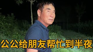 公公帮朋友买了300头猪，忙到半夜还不回家，阿伟担心身体扛不住【青妹妹】