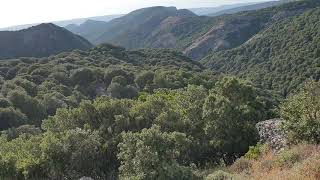 Near Santu Lussurgiu, in the Montiferru Mountains