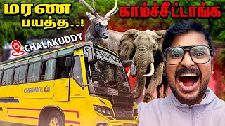 Valparai To Athirappilly In Bus ❤️ நிறைய யானைகள் உள்ள ஆபத்தான சாலை❌ Bus Review - Tuberbasss