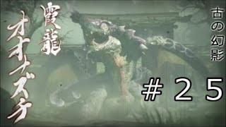 【モンスターハンターライズ】＃２５　霞龍　オオナズチ