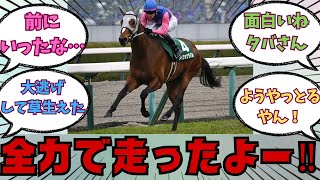 【メイショウタバル】今日も張り切って大逃げするぞ～！！に対する競馬好きの反応【競馬の反応集】