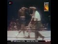 GEORGE FOREMAN BRUTALLY FINISHES DON WALDHELM IN HIS FIRST PRO FIGHT.. #SHORTS