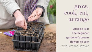 The Beginner Gardener’s Dream Flowers to Sow with Jemima Bowker - Episode 164