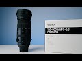 Sigma 150-600mm F5-6.3 DG DN Sport Lens Review: A Game Changer?