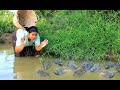 Women Catch Frog in water  - Cook Frog with chili  / Village Cooking