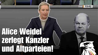 Alice Weidel zerlegt Kanzler und Altparteien!