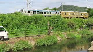 【井原鉄道アート列車と鵜と鴨親子】✨大原美術館とのコラボ企画🎉