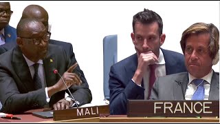 Clash diplomatique á New York:Le Mali et la France s'affrontent lors du Conseil de sécurité de l'ONU